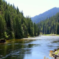 Lochsa River | Photo: Forest Service Northern Region