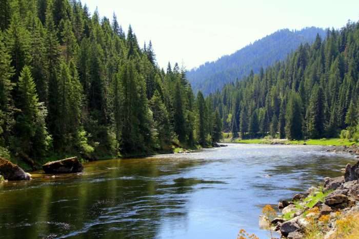 Lochsa River | Photo: Forest Service Northern Region