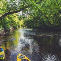 Kayaks line the river banks of the St. Croix River at Sandrock Cliff Campground near Grantsburg, Wisconsin. Photo: Tony Webster