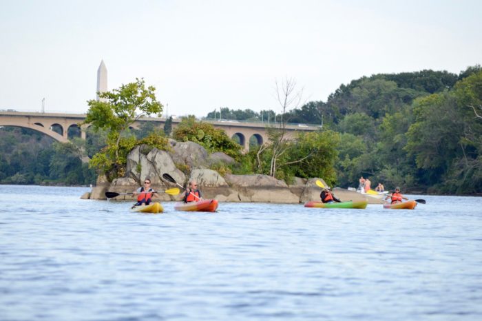 Paddling the Potomac | Rebecca Long